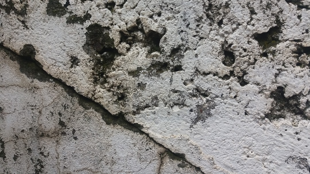 Damp wall treatment